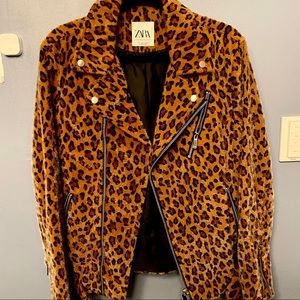 Zara Man leopard biker jacket